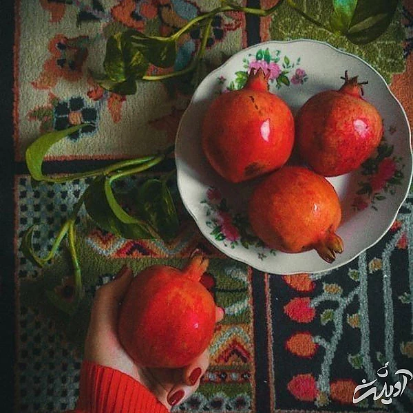 عکس پروفایل یلدا عکس شب یلدا با کیفیت بالا عکس شب یلدا خانوادگی عکس شب یلدا دونفره عکس برای شب یلدا دخترانه عکس شب یلدا 1402 عکس شب یلدا عاشقانه عکس پروفایل یلدا u;s \v,thdg dgnh